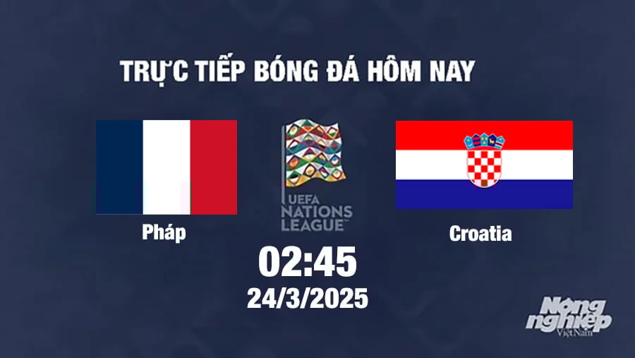 Zlatko Dalić - HLV Tài Ba và Phép Màu của Đội tuyển Croatia tại World Cup 2025